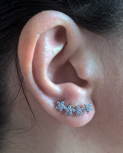 Boucles d'oreilles fleurs montantes zirconiums argent 925