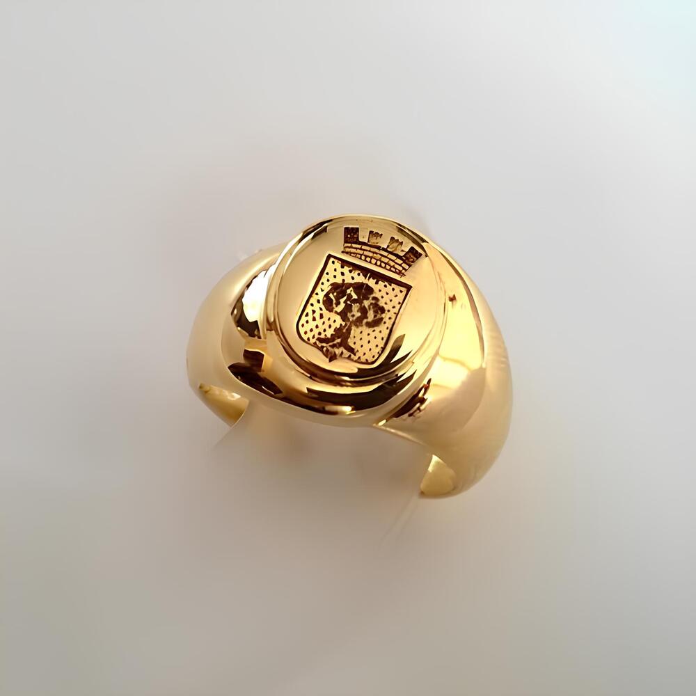 Chevalière homme blason or jaune 750 Roure
